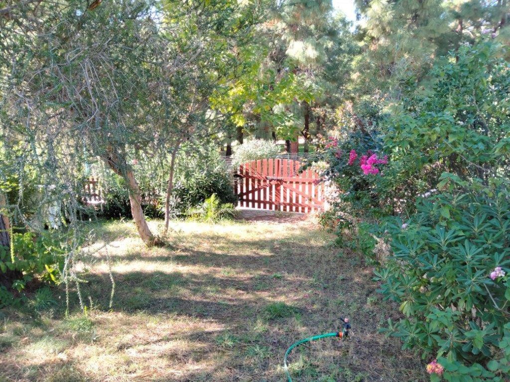 Villa Fiorilla เจเรเมอัส ภายนอก รูปภาพ